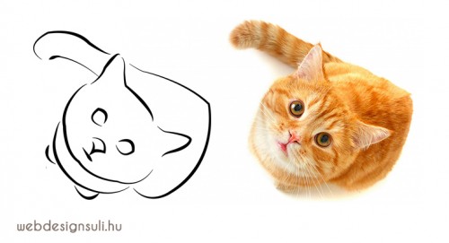 macska-alakzat-rajz