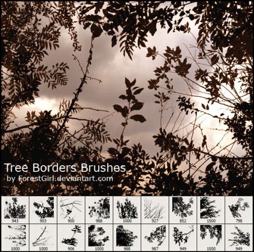 tree_borders_brushes_by_forestgirl-d2y7gvj